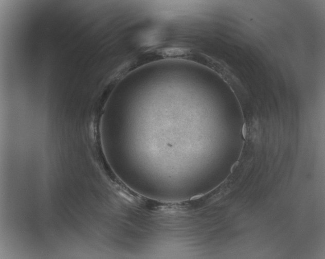 X0000071800763200606301201