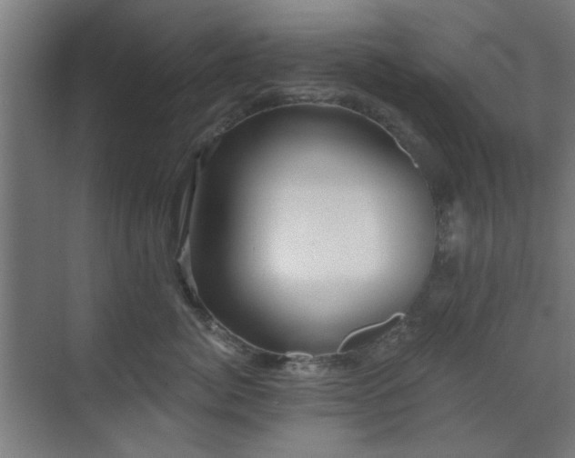 X0000071800764200606301201