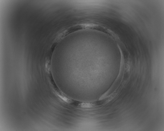 X0000071800766200606301201