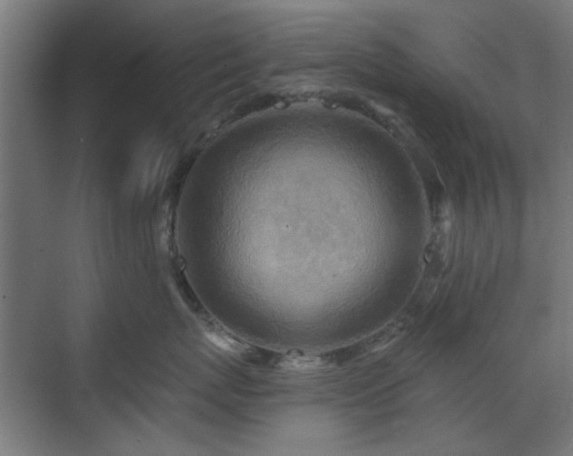 X0000071800767200606301201