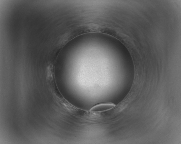 X0000071800768200606301201