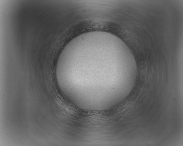 X0000071800769200606301200