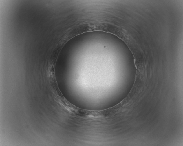 X0000071800770200606301200