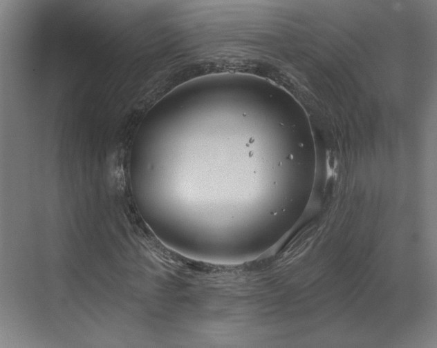 X0000071800771200606301200