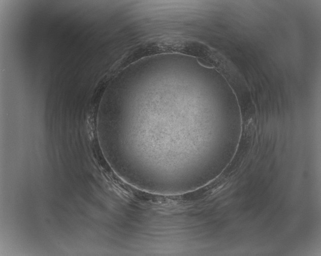 X0000071800772200606301200