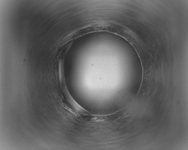 X0000071800773200606301200