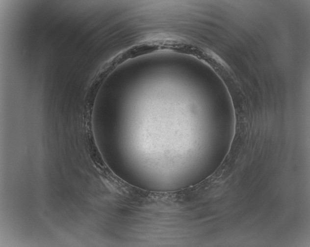 X0000071800775200606301200