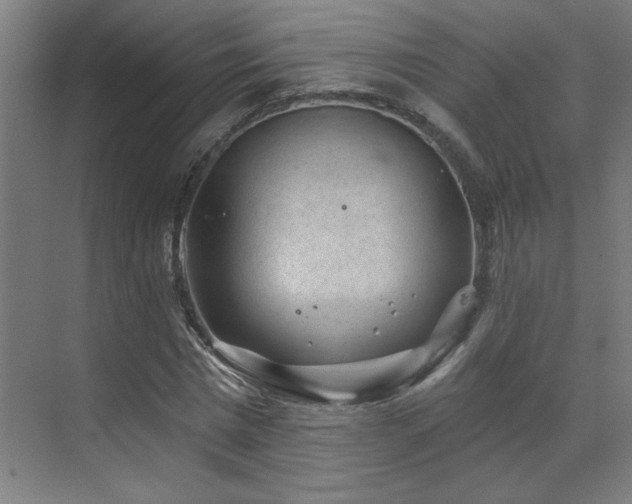 X0000071800777200606301200