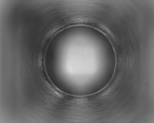 X0000071800778200606301200