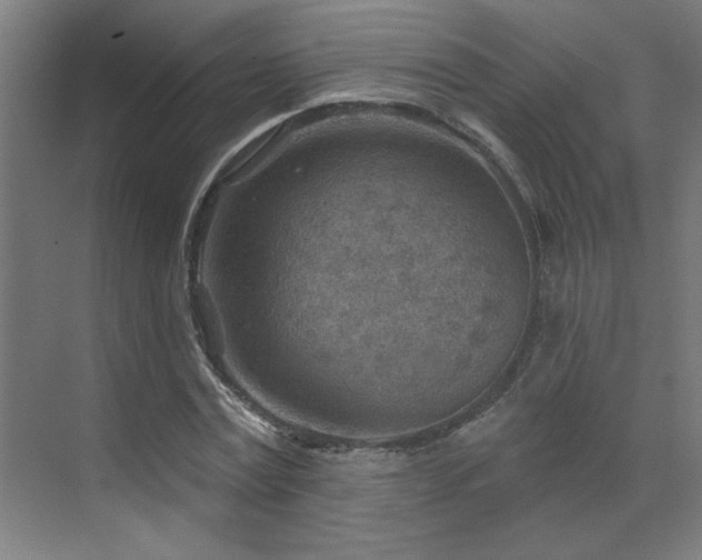 X0000071800779200606301200