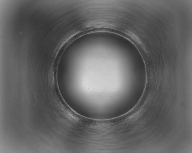 X0000071800782200606301200