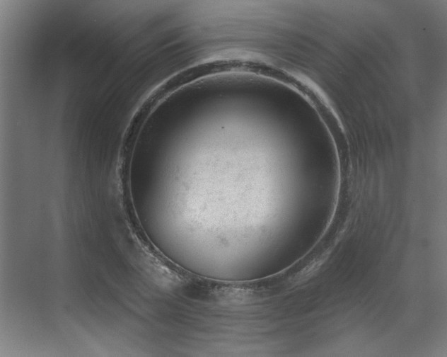 X0000071800783200606301200