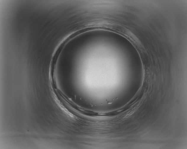 X0000071800788200606301200