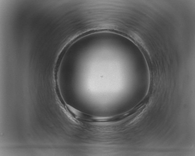 X0000071800789200606301200