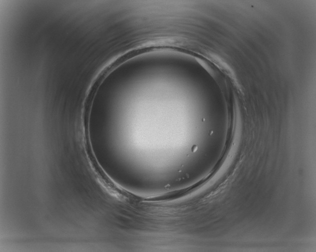 X0000071800792200606301200