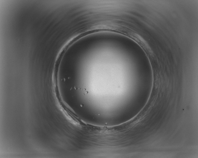 X0000071800796200606301200