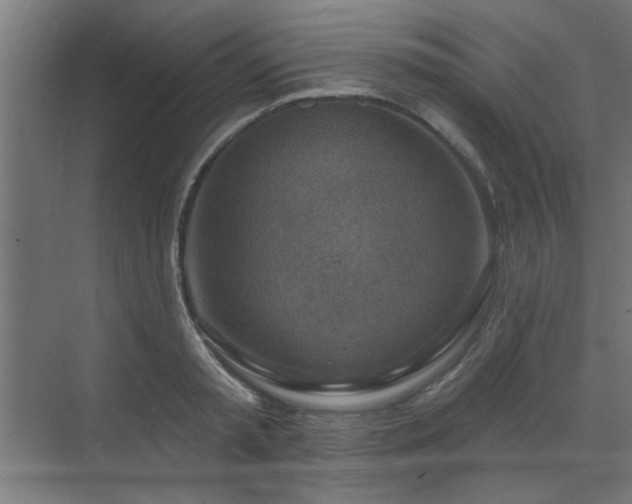 X0000071800797200606301200