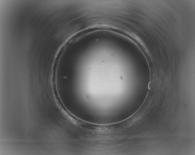 X0000071800799200606301200