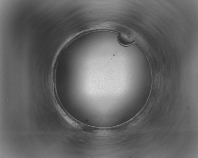 X0000071800800200606301159