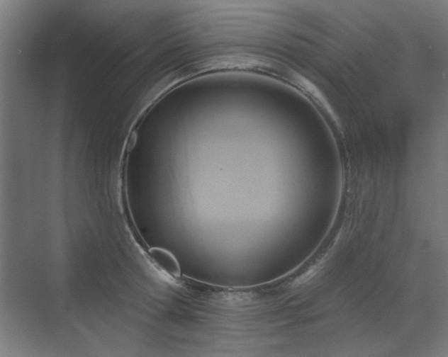 X0000071800802200606301159