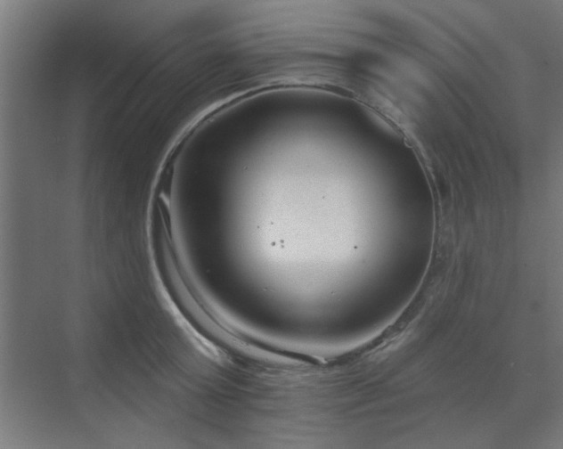 X0000071800803200606301159