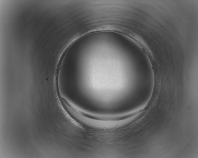 X0000071800805200606301159