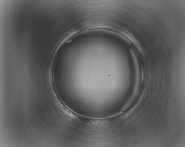 X0000071800806200606301159