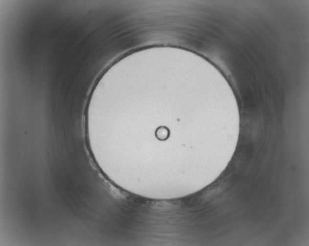 X0000071800807200606301159