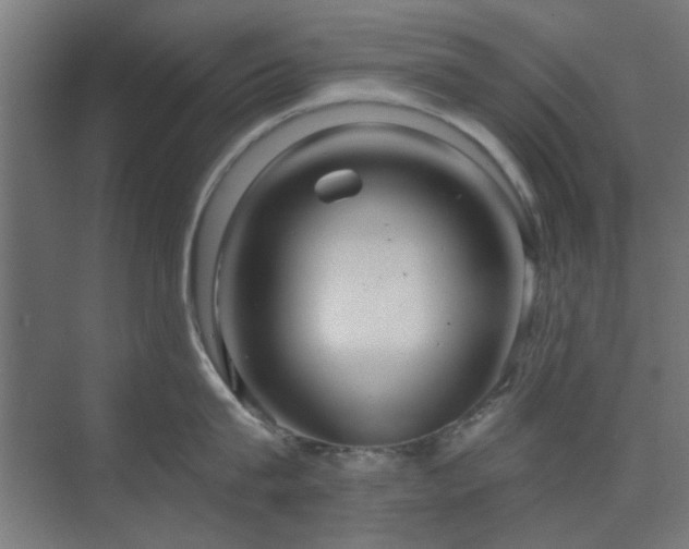 X0000071800815200606301159