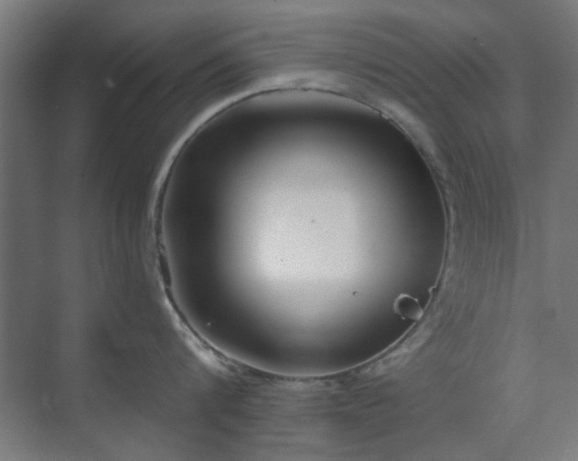 X0000071800816200606301159