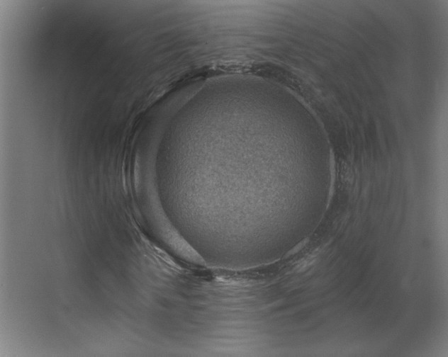 X0000071800818200606301158