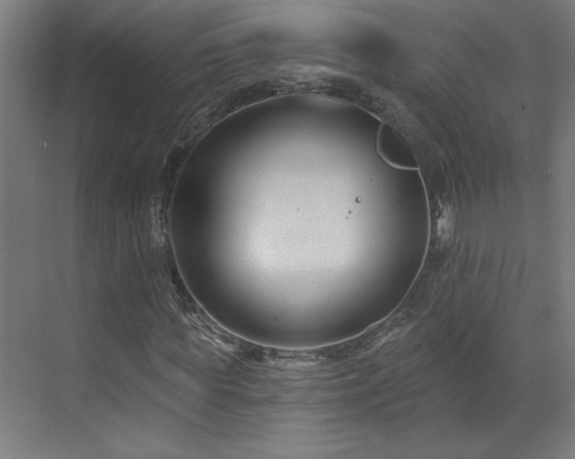 X0000071800819200606301158