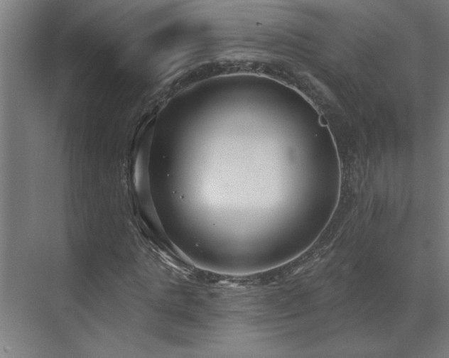 X0000071800821200606301158