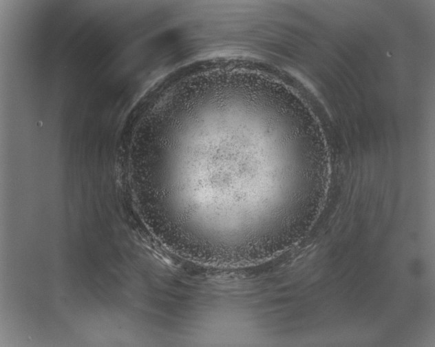 X0000071800823200606301159