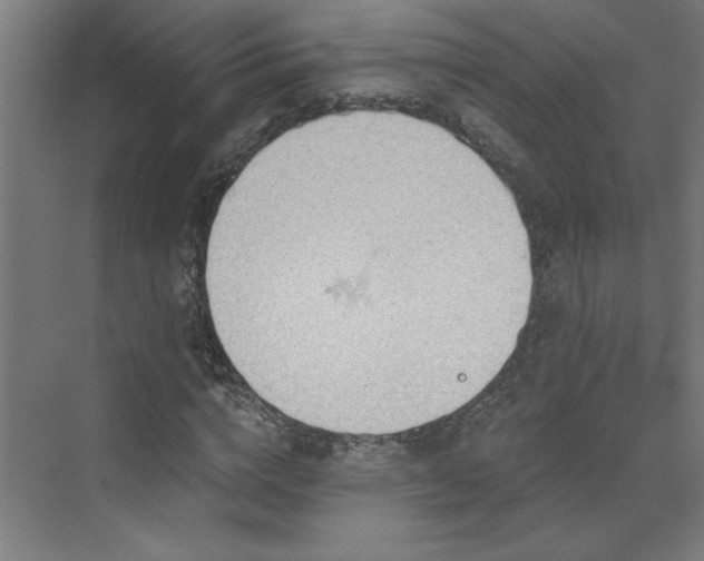 X0000071800824200606301159