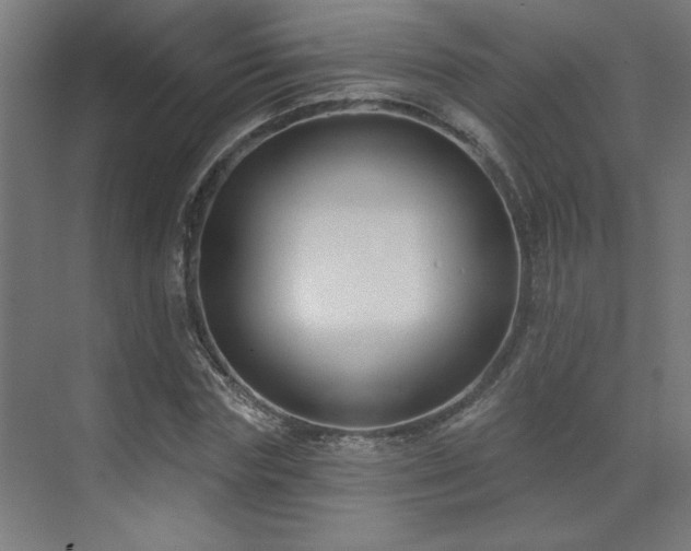 X0000071800827200606301159