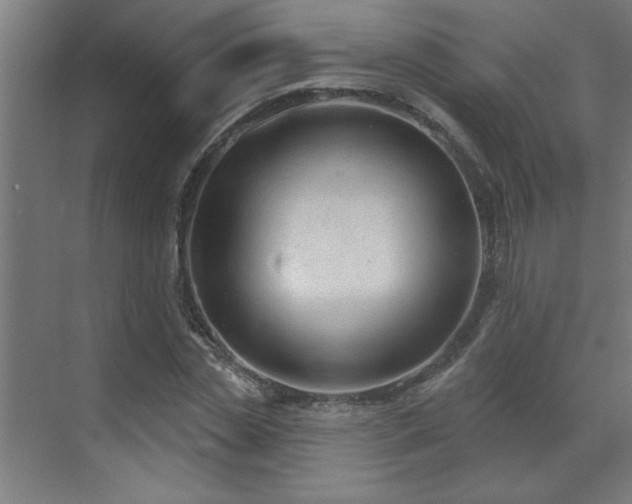 X0000071800829200606301159