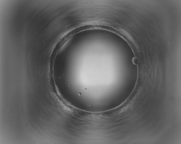 X0000071800831200606301159