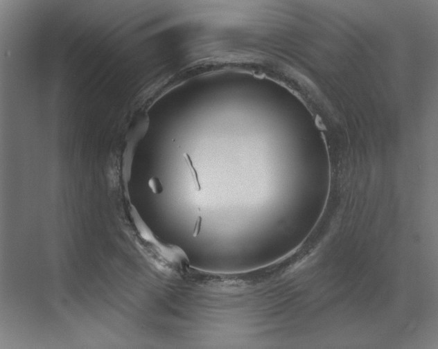 X0000071800833200606301159