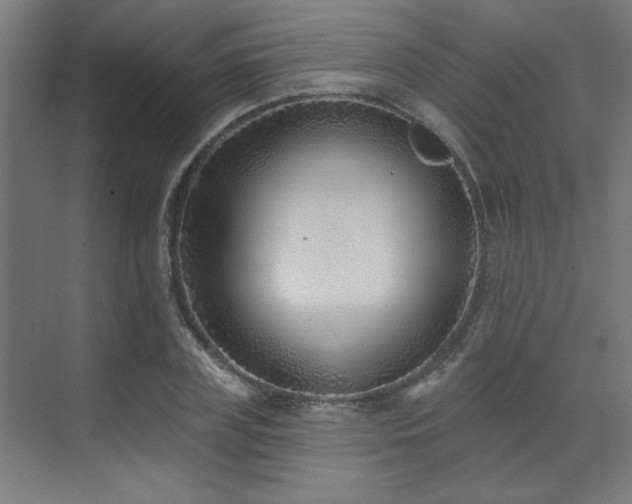 X0000071800835200606301159