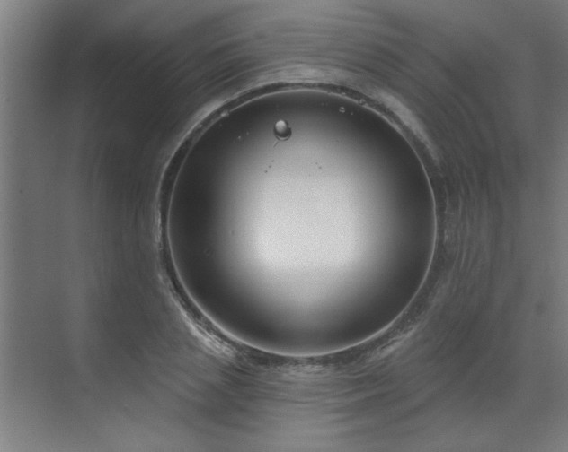 X0000071800837200606301159