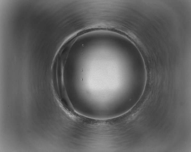 X0000071800838200606301159