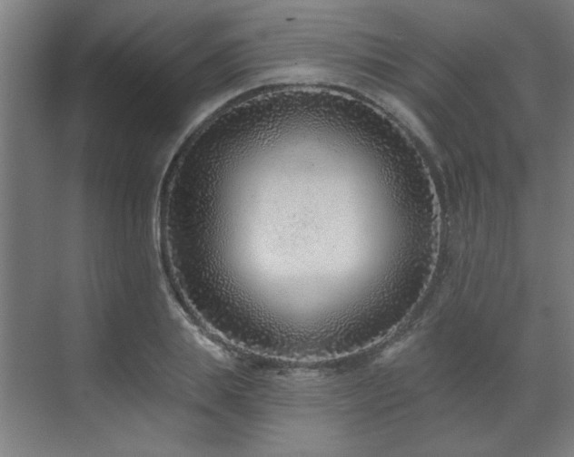 X0000071800839200606301159