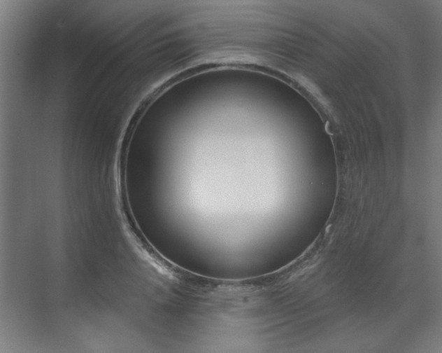 X0000071800840200606301159