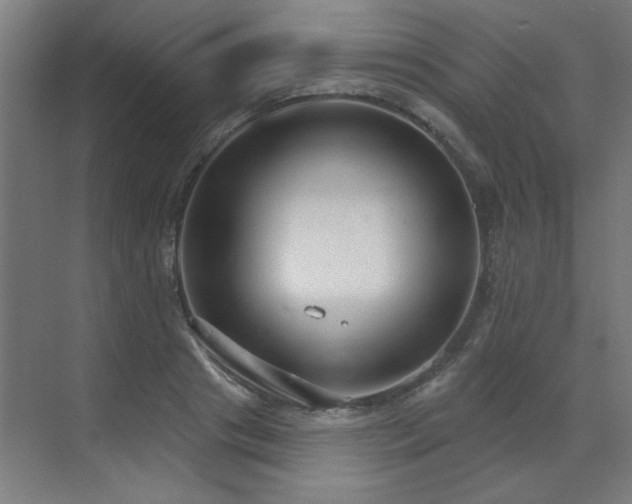 X0000071800841200606301159