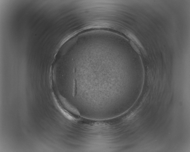 X0000071800842200606301159