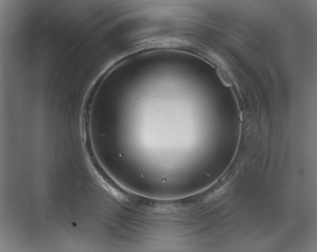 X0000071800843200606301159