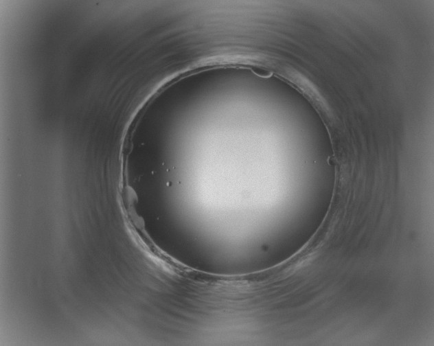 X0000071800844200606301159