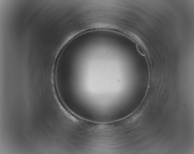 X0000071800847200606301159