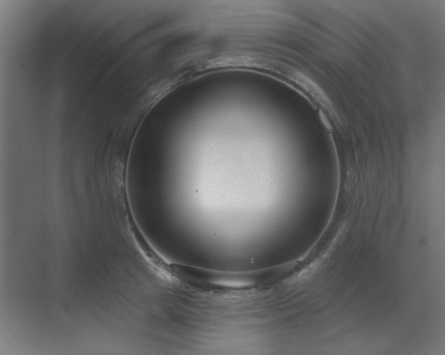 X0000071800849200606301159